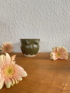 IMG_9329_2.jpg