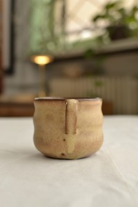 _DSC0001.JPG